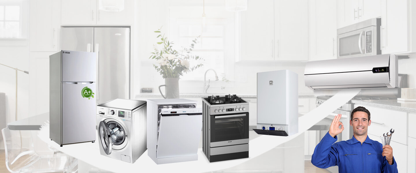 Doğubayazıt Electrolux Servisi